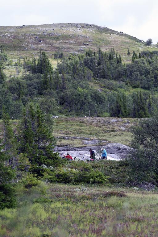 Valadalens Fjaellstation Hotell Eksteriør bilde